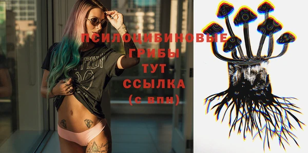 прущие крисы Магас