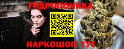 крисы Донецк