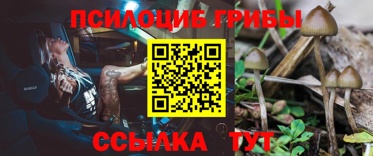 Псилоцибиновые грибы мицелий Магнитогорск